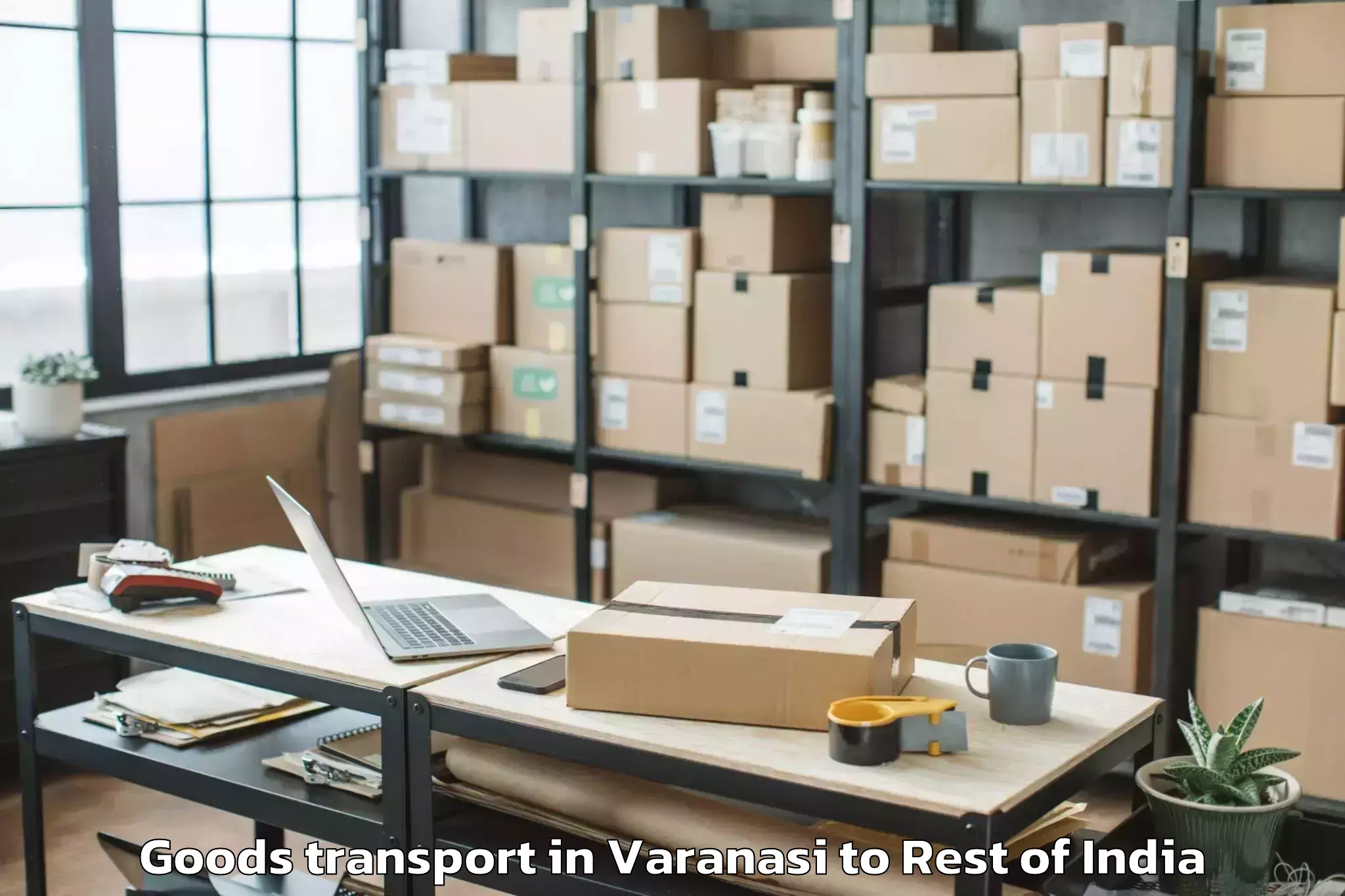 Trusted Varanasi to Hayuliang Goods Transport